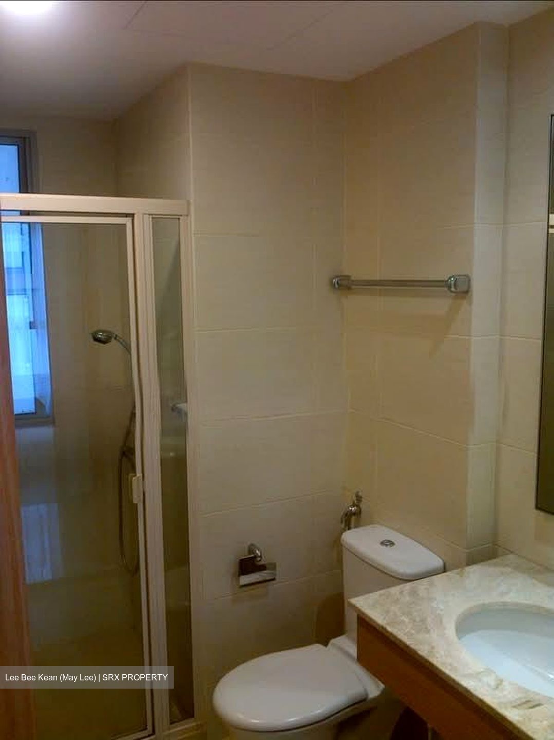The Lakeshore (D22), Condominium #553281671